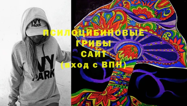 герыч Коряжма