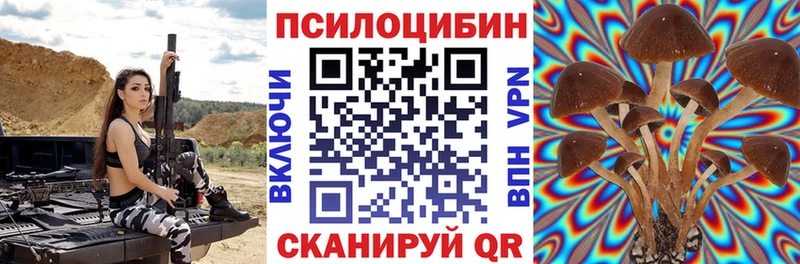 Галлюциногенные грибы GOLDEN TEACHER  Кольчугино 