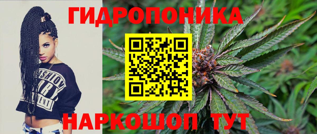 Бошки Шишки планчик  Канабис сатива  Вход с VPN  Кольчугино  Бошки марихуана Amnesia 